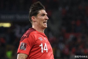 爱游戏体育- 瑞士队队员 